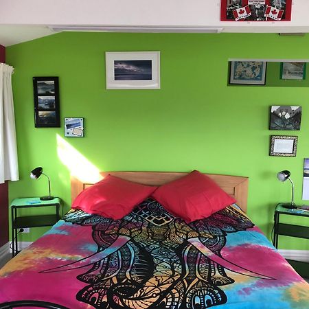 Piringa Bed & Breakfast Dunedin Dış mekan fotoğraf
